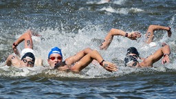 Freiwasser-Schwimmer bei der WM 2015 in Kasan © imago/Insidefoto 