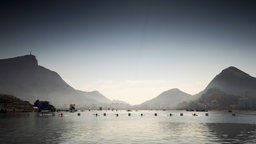 Das Lagoa Stadium in Rio de Janeiro im Morgengrauen © imago/Action Plus Foto: imago/Action Plus